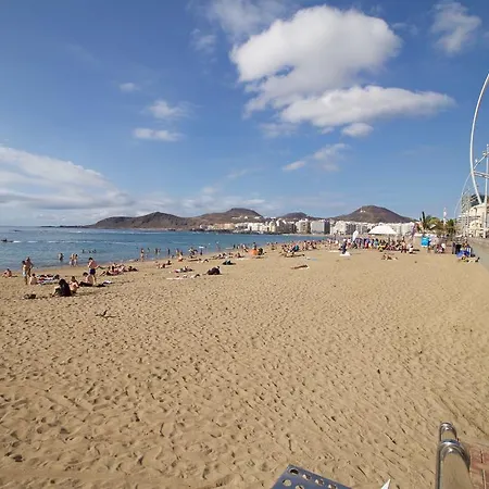 Tomas Miller Ii Las Palmas