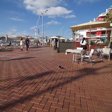 Tomas Miller Ii Las Palmas